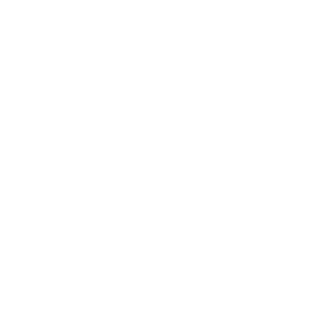 logo bianco visio
